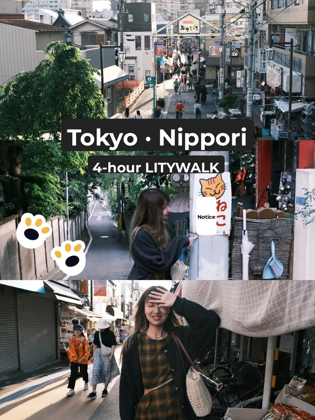 Tokyo CityWalk | Hidden Cat Street in Nippori 🐱 with Route Guide