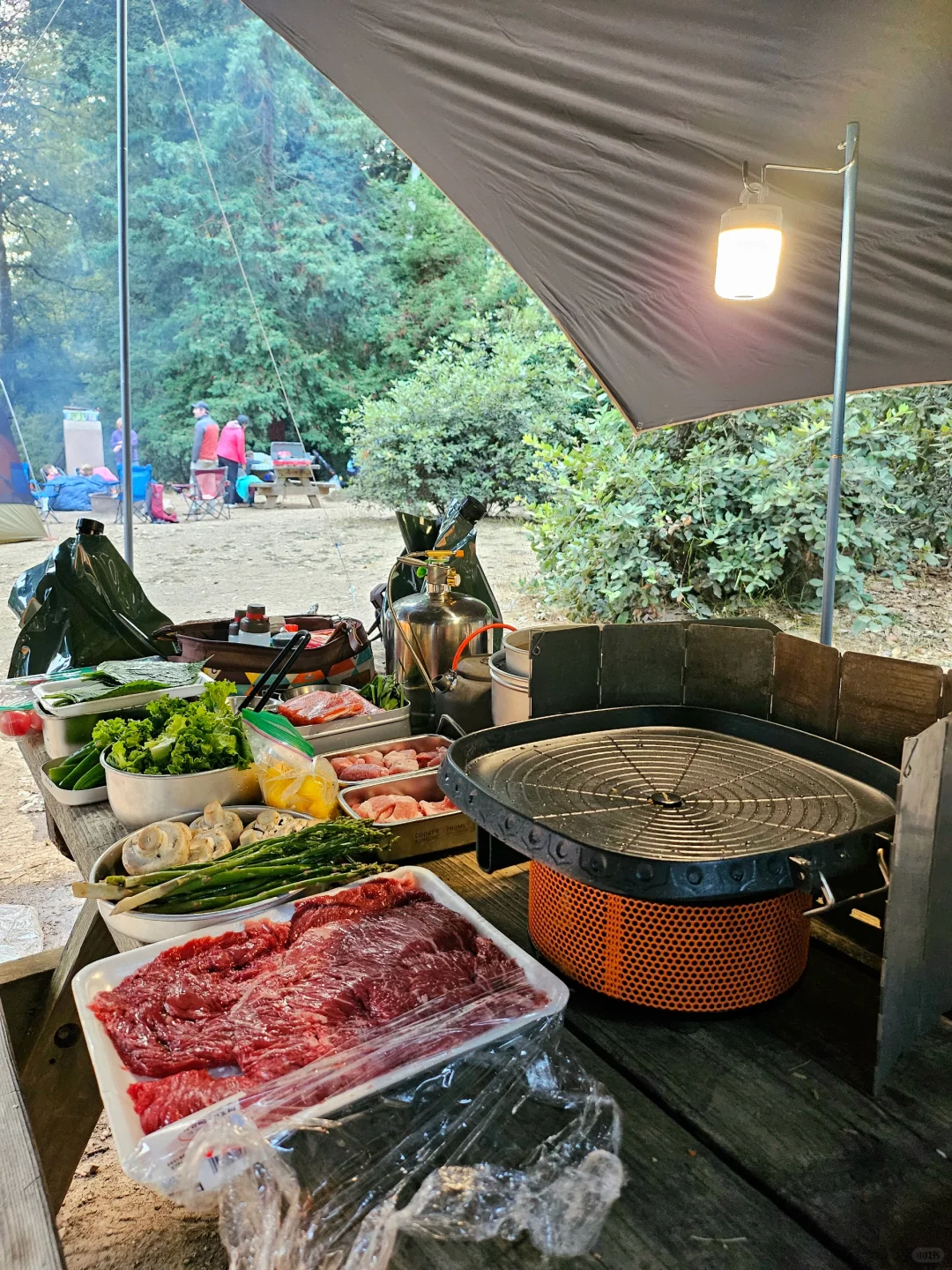 Bay Area Camping at Mt. Madonna