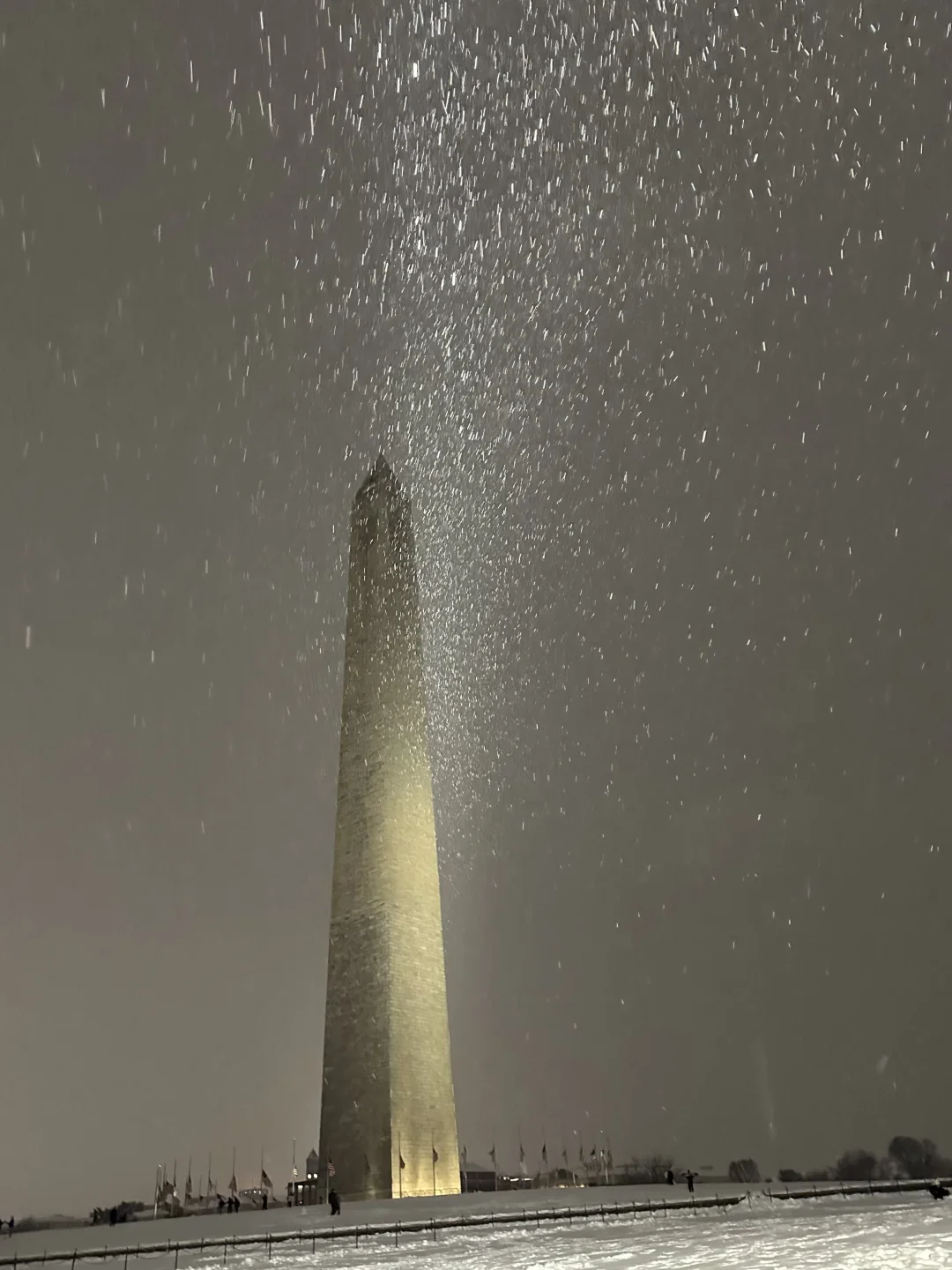 DC🇺🇸 Washington Hotel‼️ 2025 Special Deals