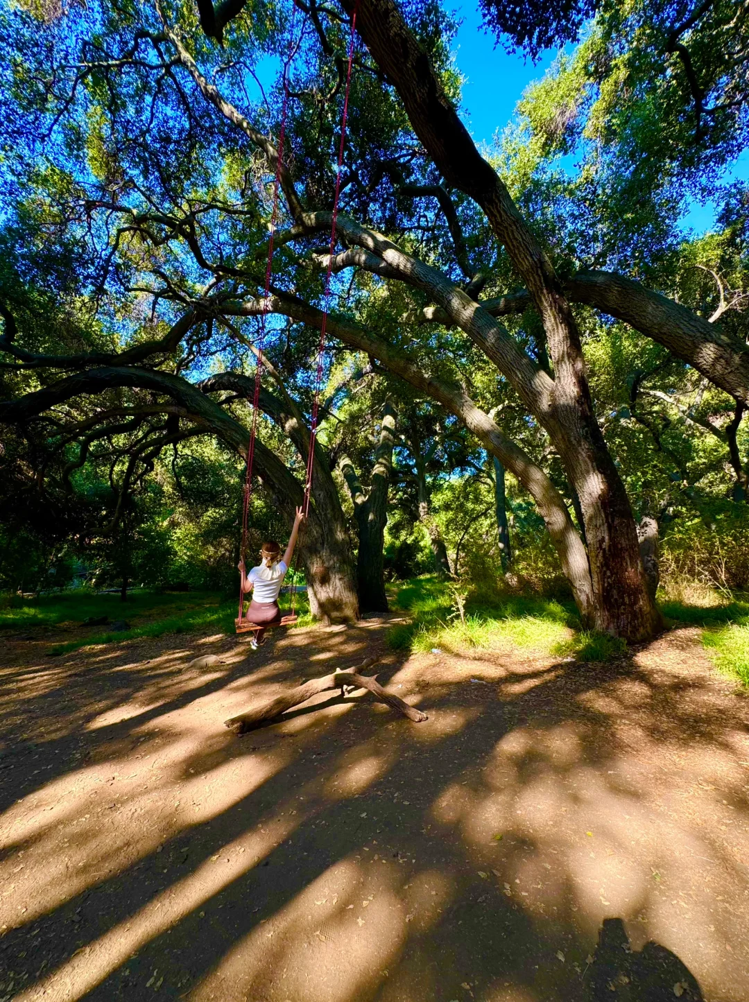 LA's Shady Trail – Perfect for a Cool Escape!