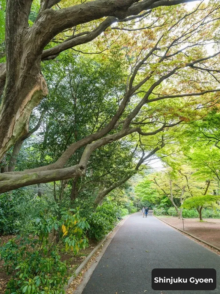 Japan 🇯🇵 Tokyo | Must-Visit Spots in Shinjuku📍 Complete Guide! Take It Away