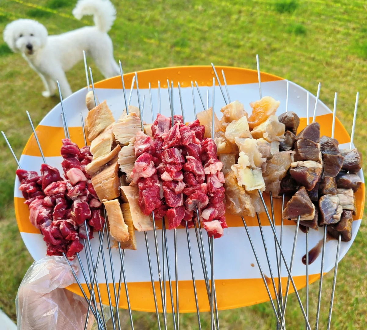 Houston Harbin Folks Gather ♡ Authentic Harbin-Style Homemade BBQ