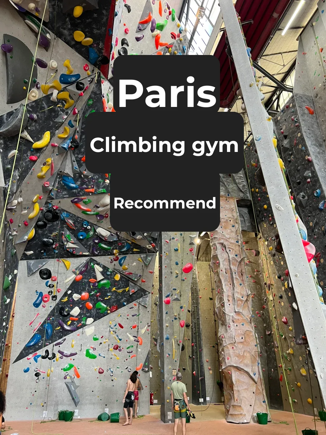 🇫🇷 Paris Climbing Gym Picks 🧗🏻‍♀️ (Surprise at the end!)