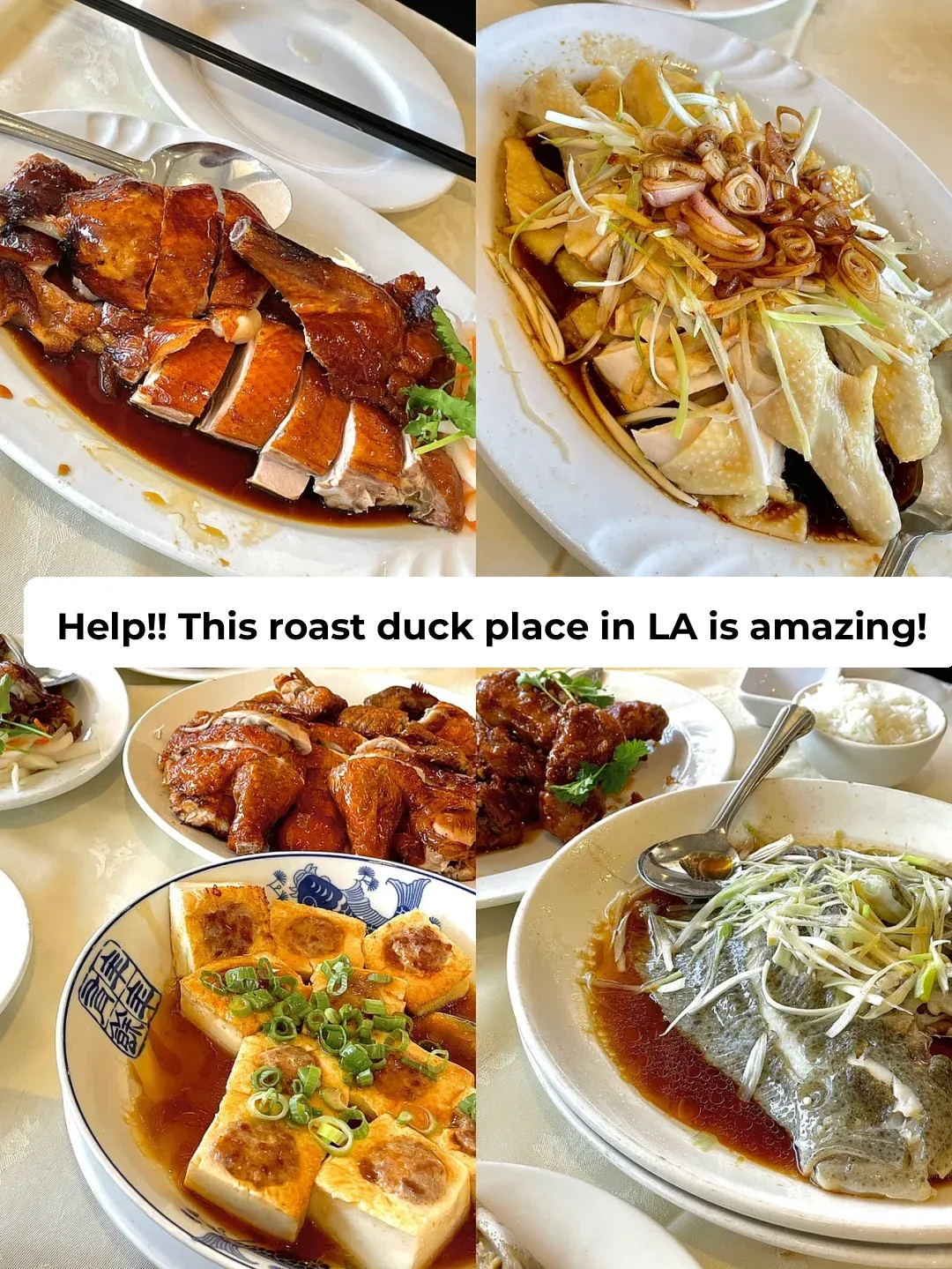 LA Eats 🤤 Regret Not Finding This Cantonese Spot Sooner for Their Roast Duck and Chicken