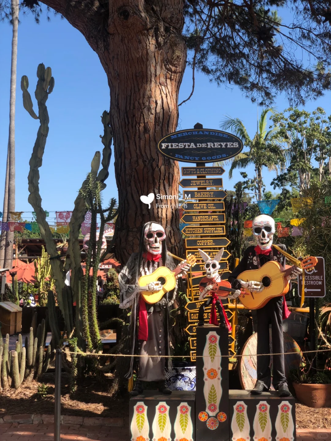 🦐🌮 Must-Eat in San Diego! Mexican Cuisine & Seafood