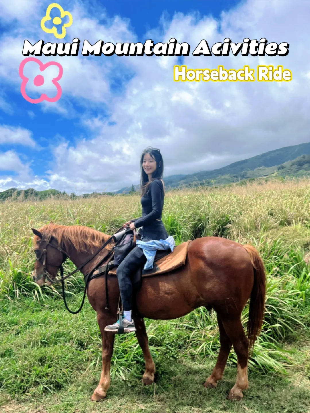 Maui, Hawaii｜3-Hour Budget-Friendly Horseback Riding Experience 🐎