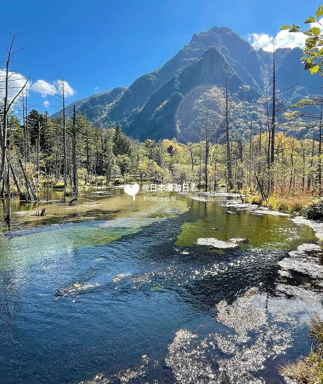 Blood, Sweat, and Tears: The Ultimate Guide to Nagano's Kamikochi for Summer Cooling & Hiking!