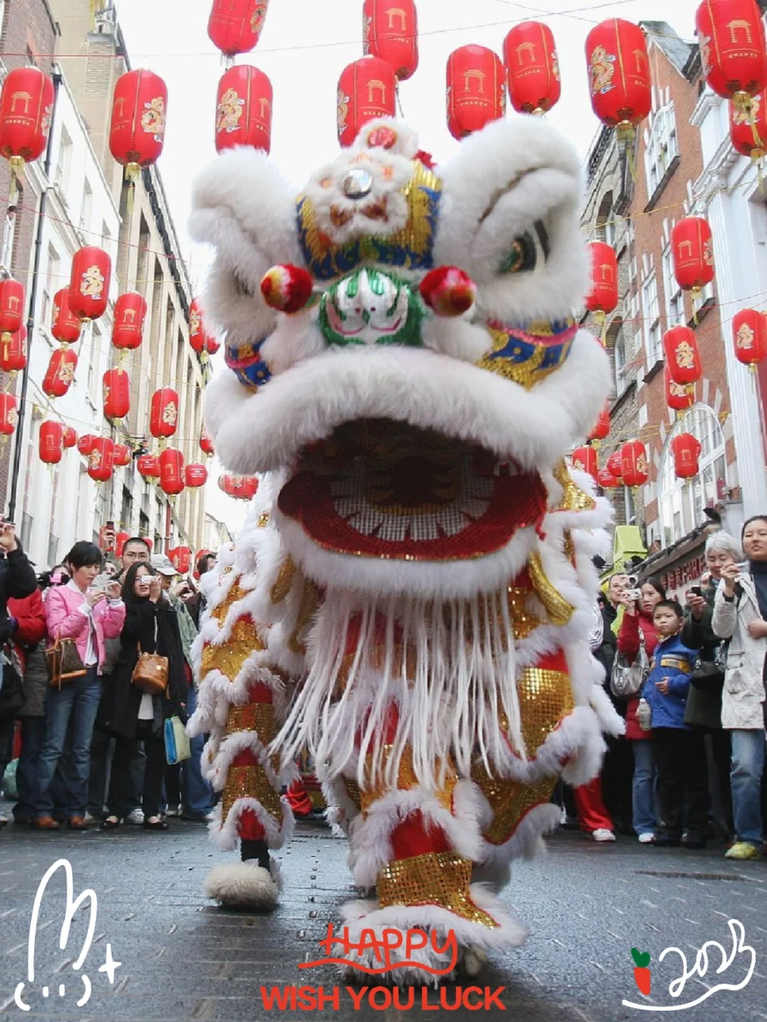 "Come and experience the festive vibes of the Lunar New Year from Xiao V's hometown 🏮"