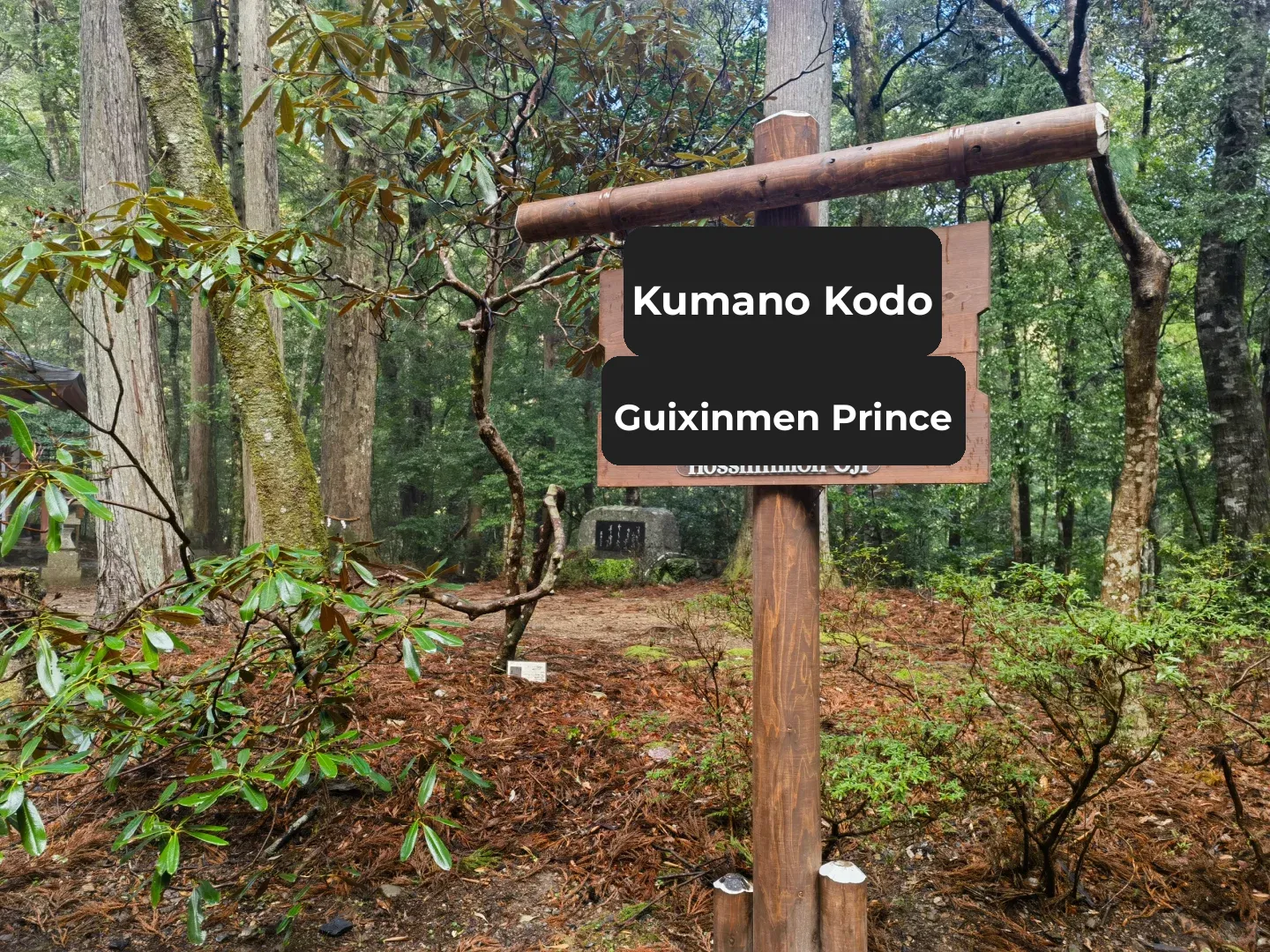 2 Days & 2 Nights: Chill Hike on the Kumano Kodo Trail