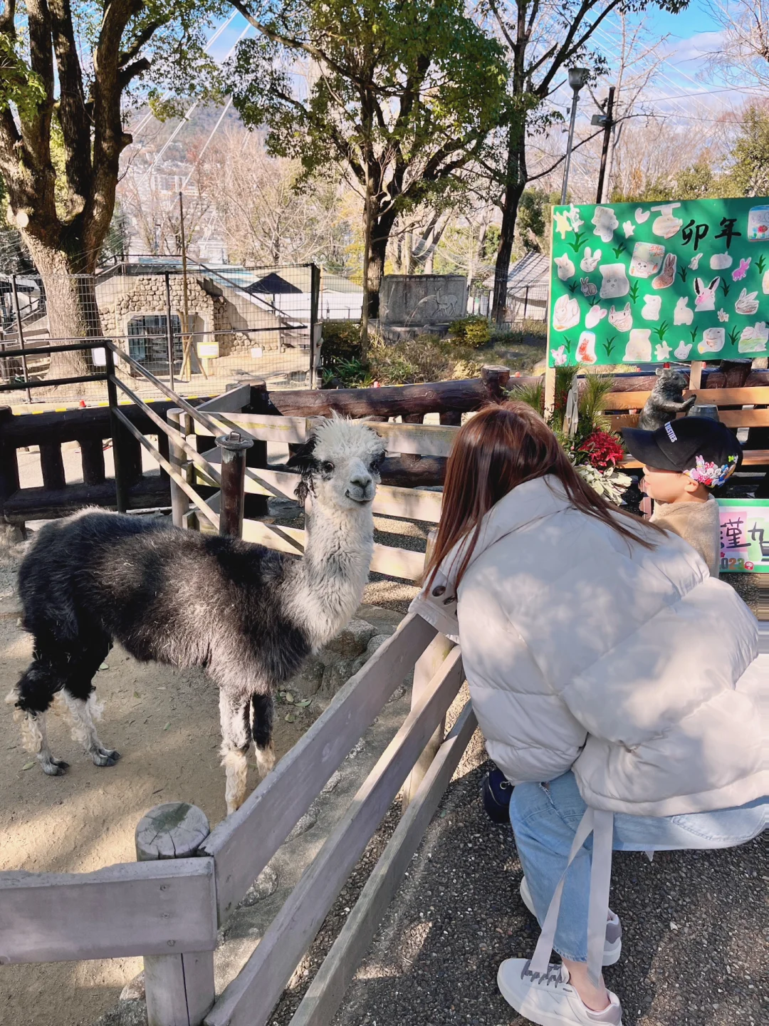 Mayuyama Zoo 🦙 is home to the world's oldest wombat 🐻