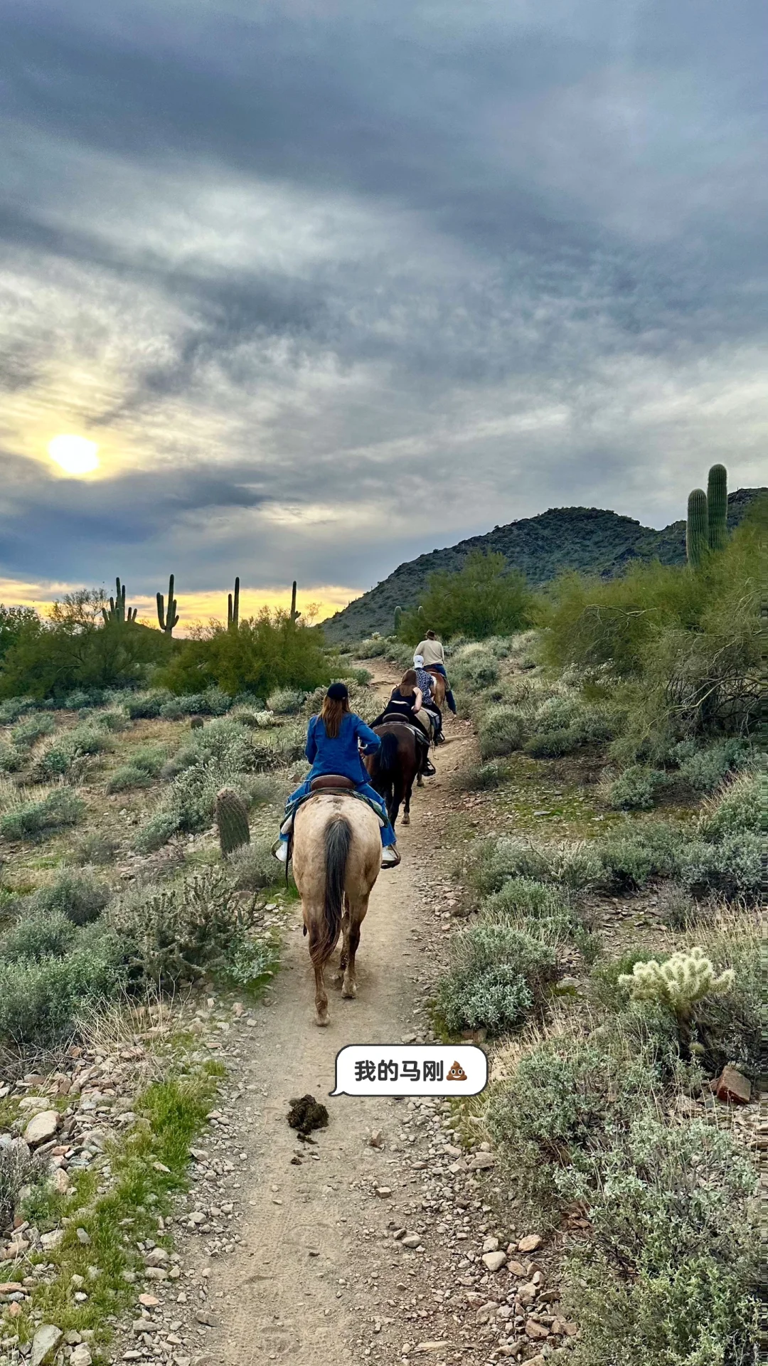 Sunset Desert Horseback Riding in Cave Creek, Arizona