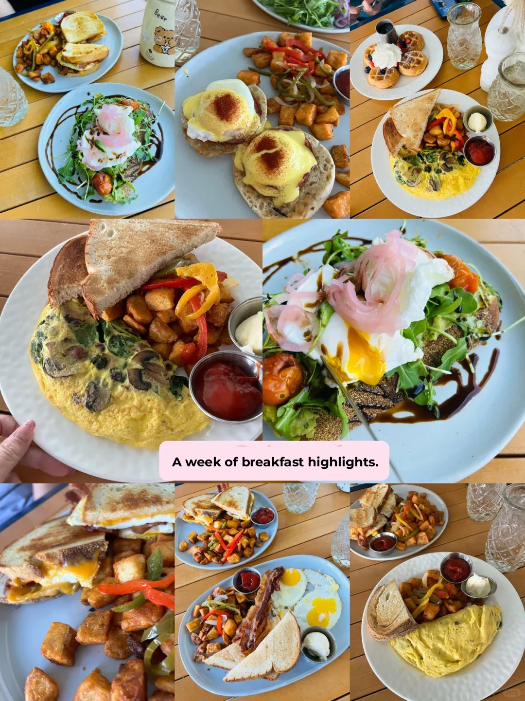 Delicious Eats in Key Largo, Florida