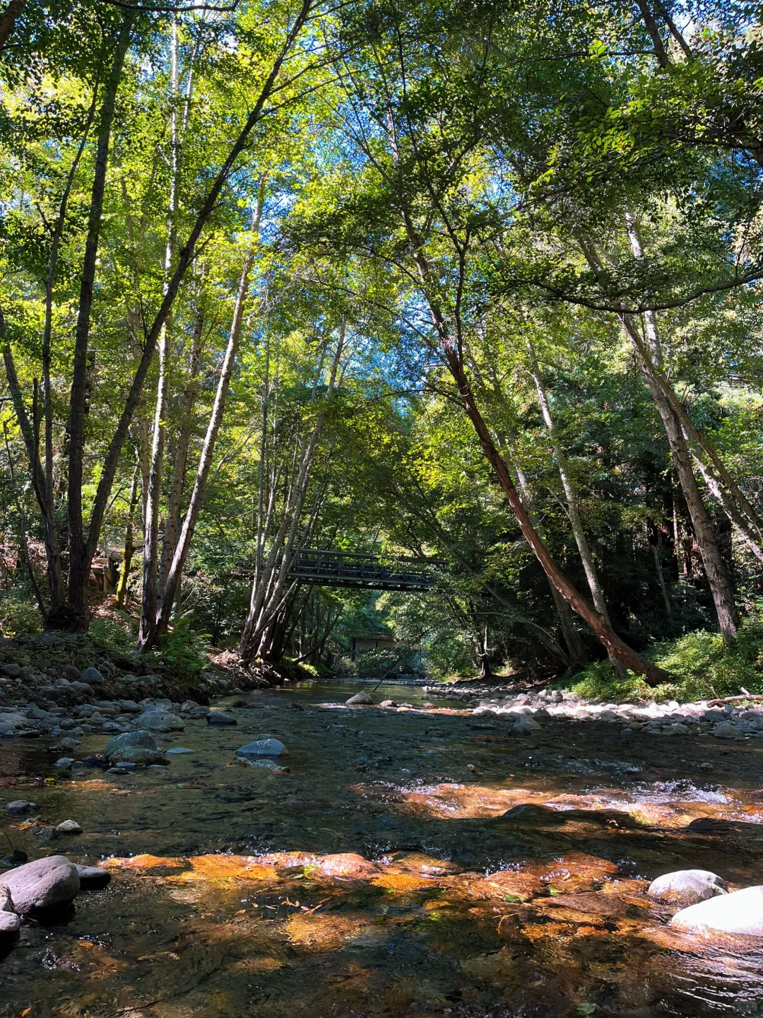 Weekend in the Bay Area | Big Sur: A Hiker's Paradise You Can't Miss!