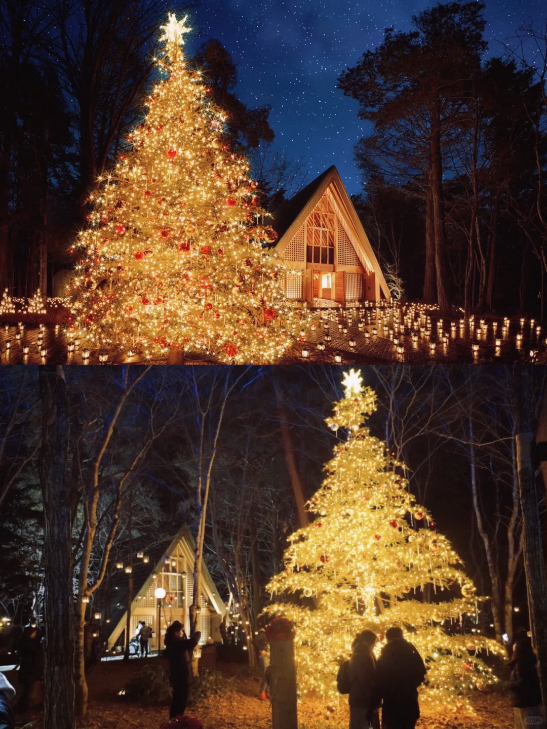I Solemnly Declare: This is the Southern Paradise of Romantic Christmas in Japan!