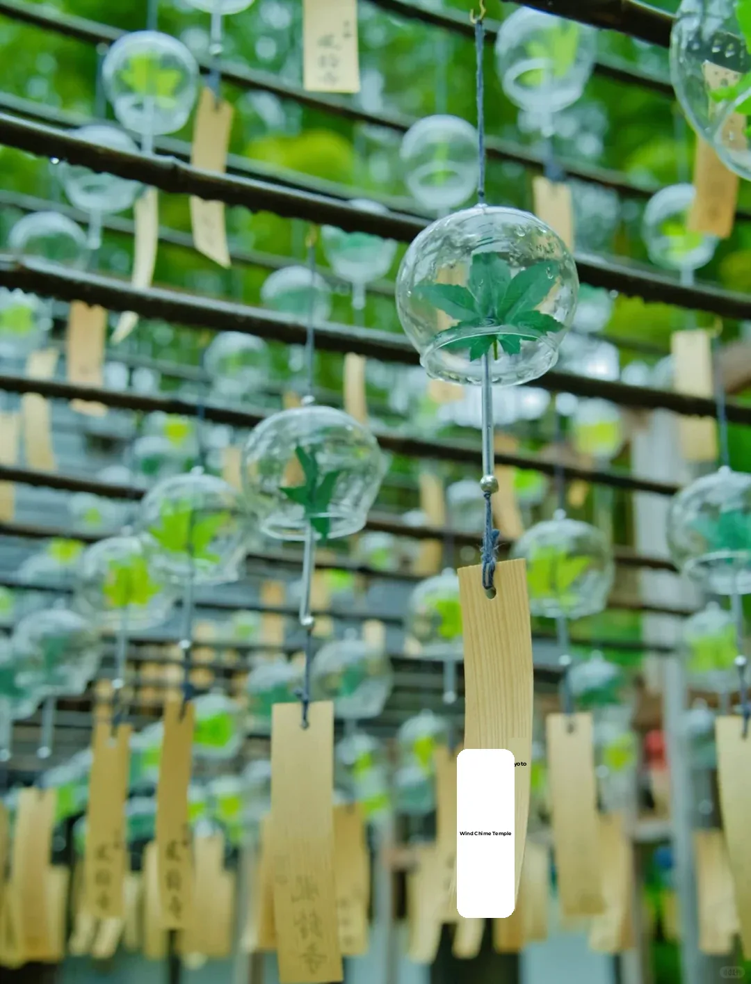 Kyoto Uji Fūrin-ji Temple | Fulfilling All My Summer Fantasies!
