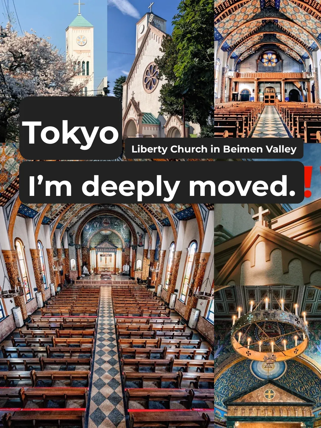 ✅ A Heartfelt Reminder ‼️ Don't Miss This in Tokyo Anymore...