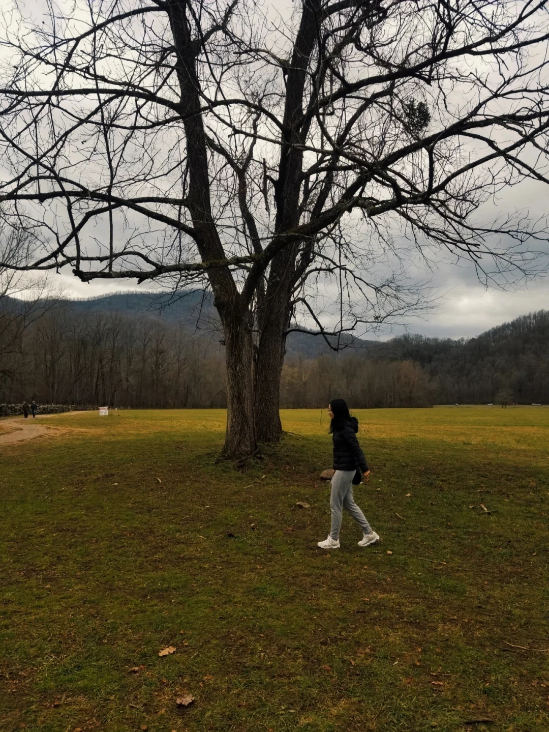 🇺🇸 Great Smoky Mountains National Park ⛰ Two-Day, One-Night Travel Guide