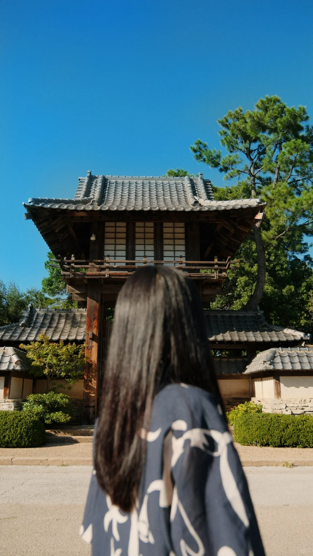 Texas' Most Beautiful Hidden Paradise—Everyone Keeps Asking If It's in Japan ⛩️