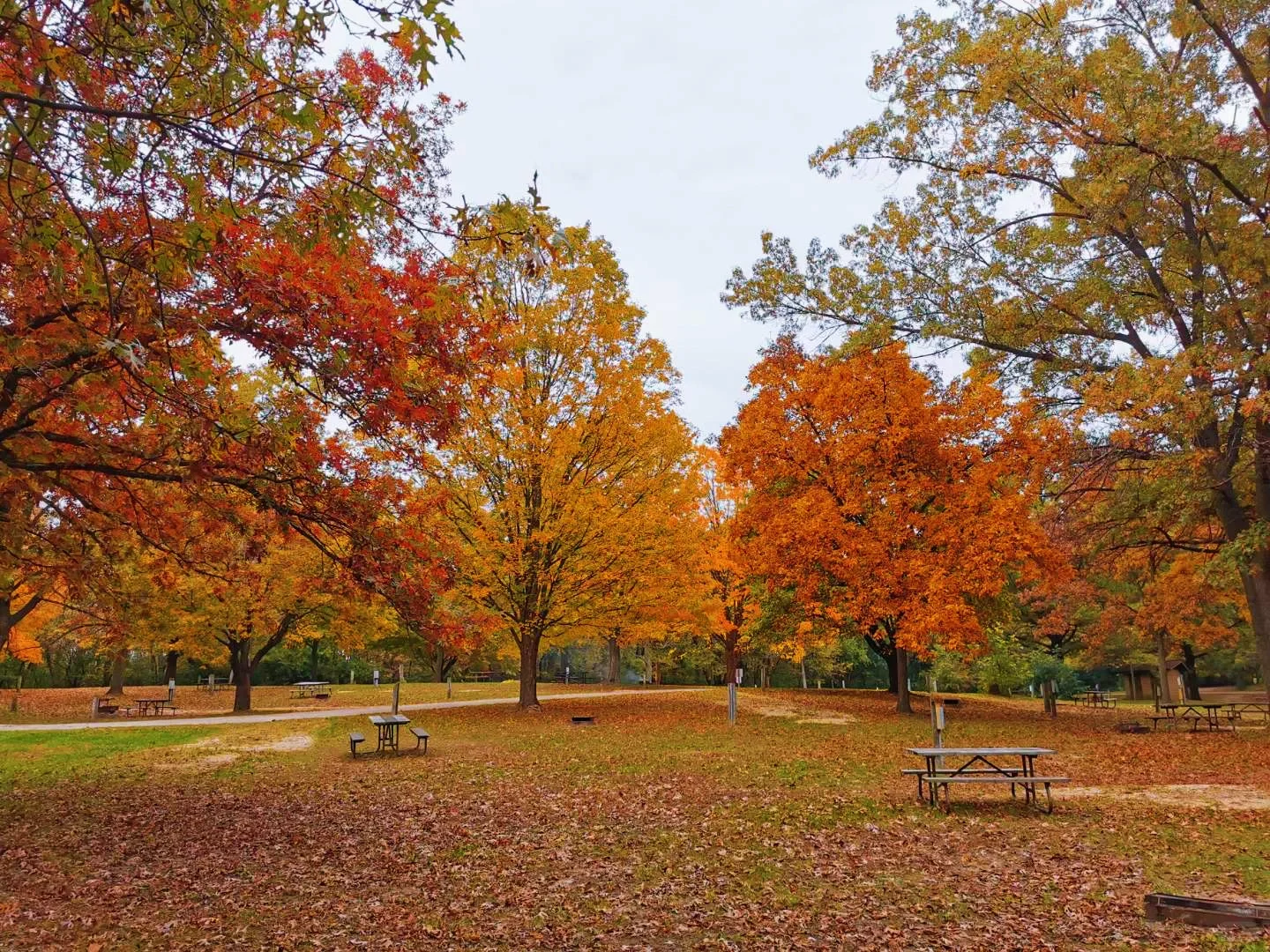 The Most Beautiful Campsite in Autumn 🏕️