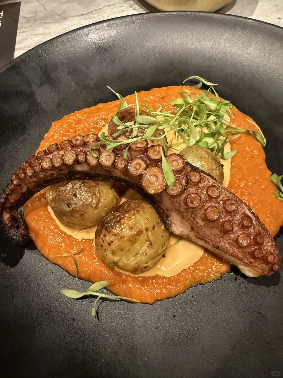 Exploring Fort Lauderdale: A Visit to Baires Grill