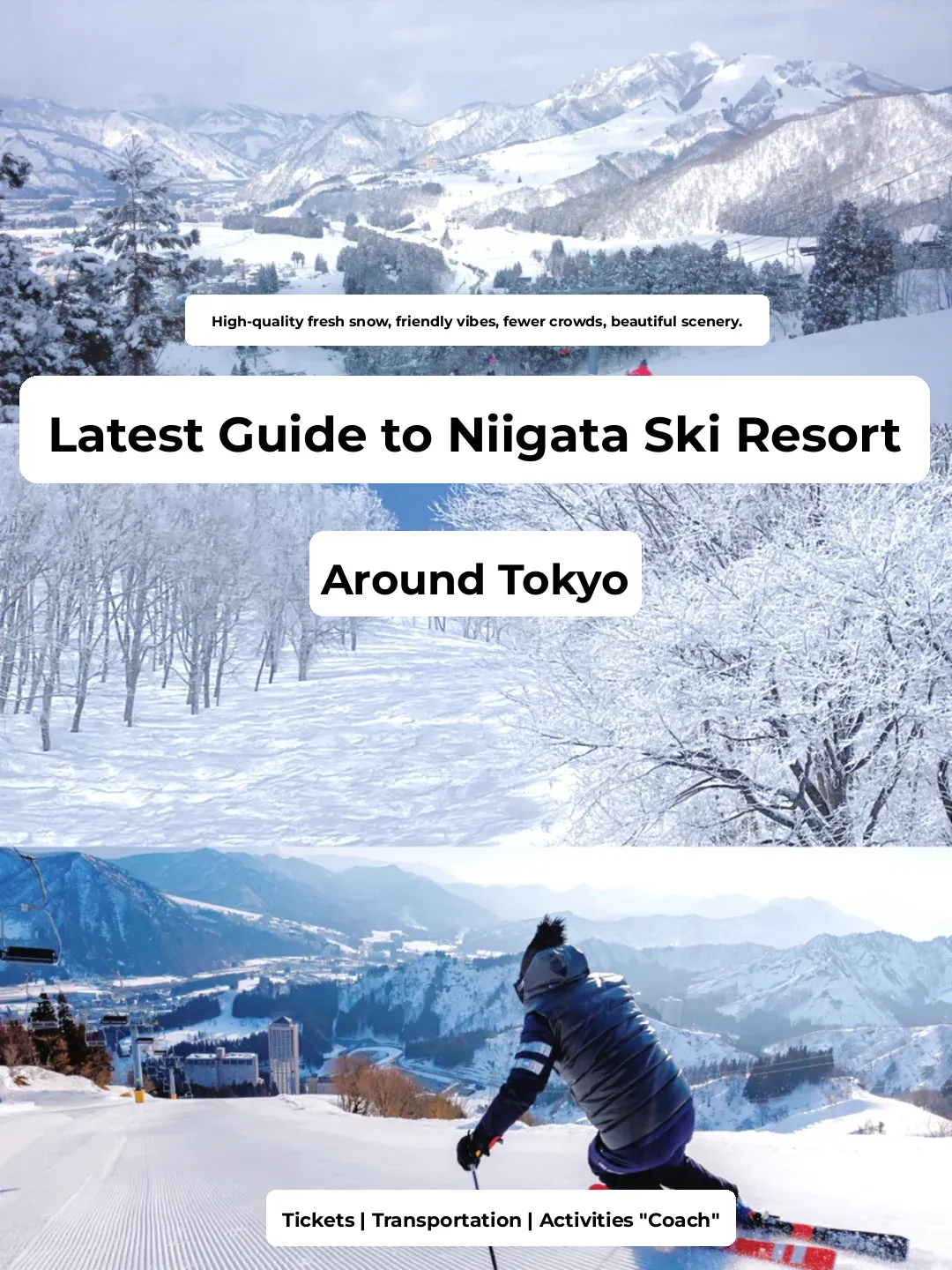 Tokyo's Nearby Ski Resorts: Less Crowded and Super Friendly for Beginners!