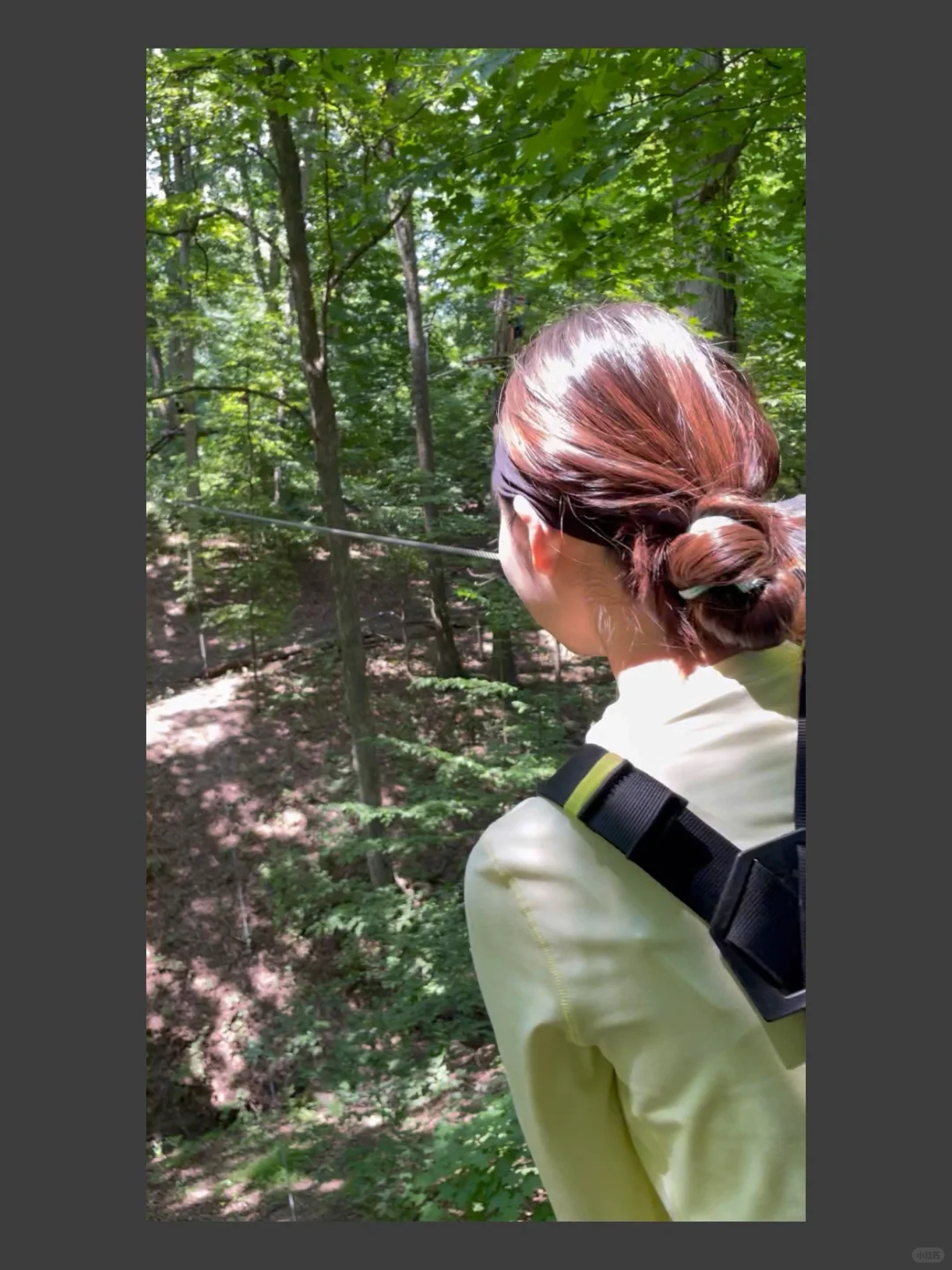 Columbus Adventure | Zipzone Jungle Zipline/Jungle Adventure