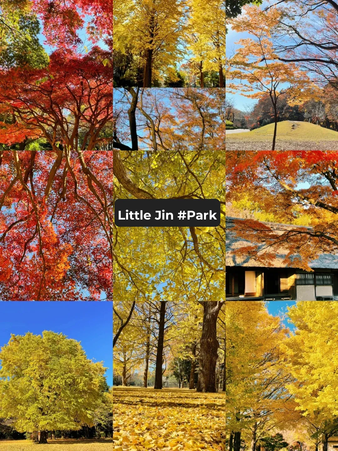 Score! 19 Off-the-Beaten-Path Spots Around Tokyo (Sept-Nov) Part 3