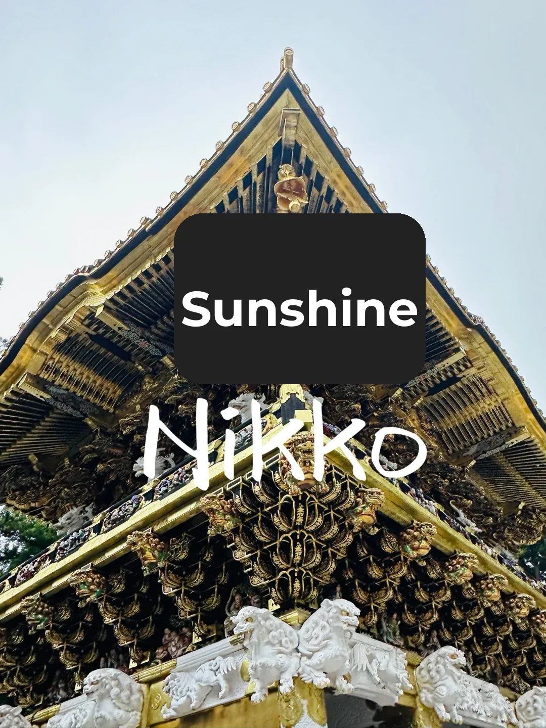 Day Trip to Nikko: Detailed Guide for a Tokyo Day Return