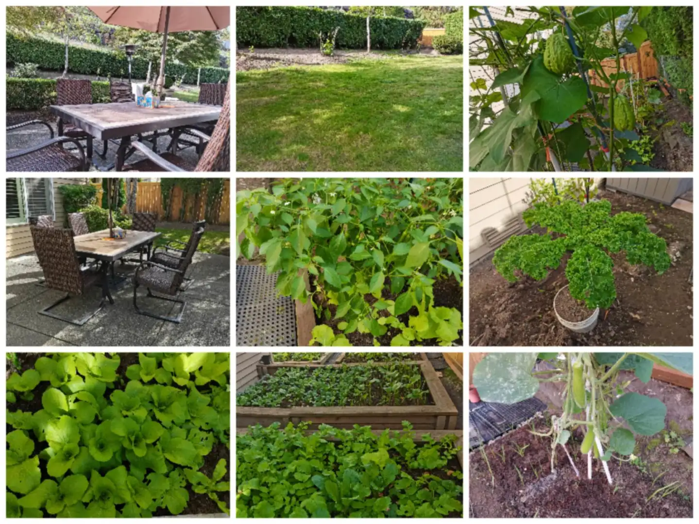 Seattle's Hidden Culinary Garden