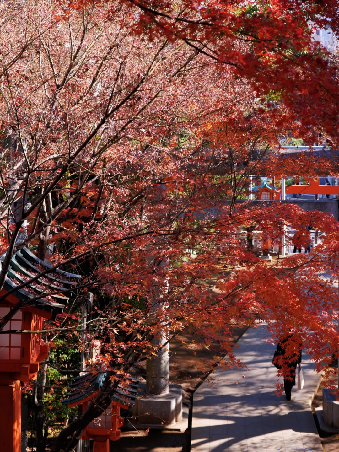 Cow's Tokyo City Walk ‼️ 4 Hours, 8 Spots – Fun and Not Tiring ❗️