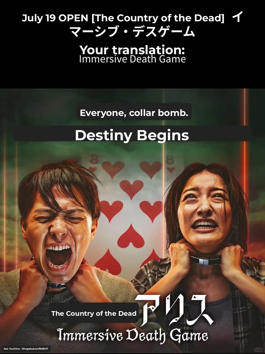 Check This Out! | Odaiba's Immersive Playground - IMMERSIVE FORT