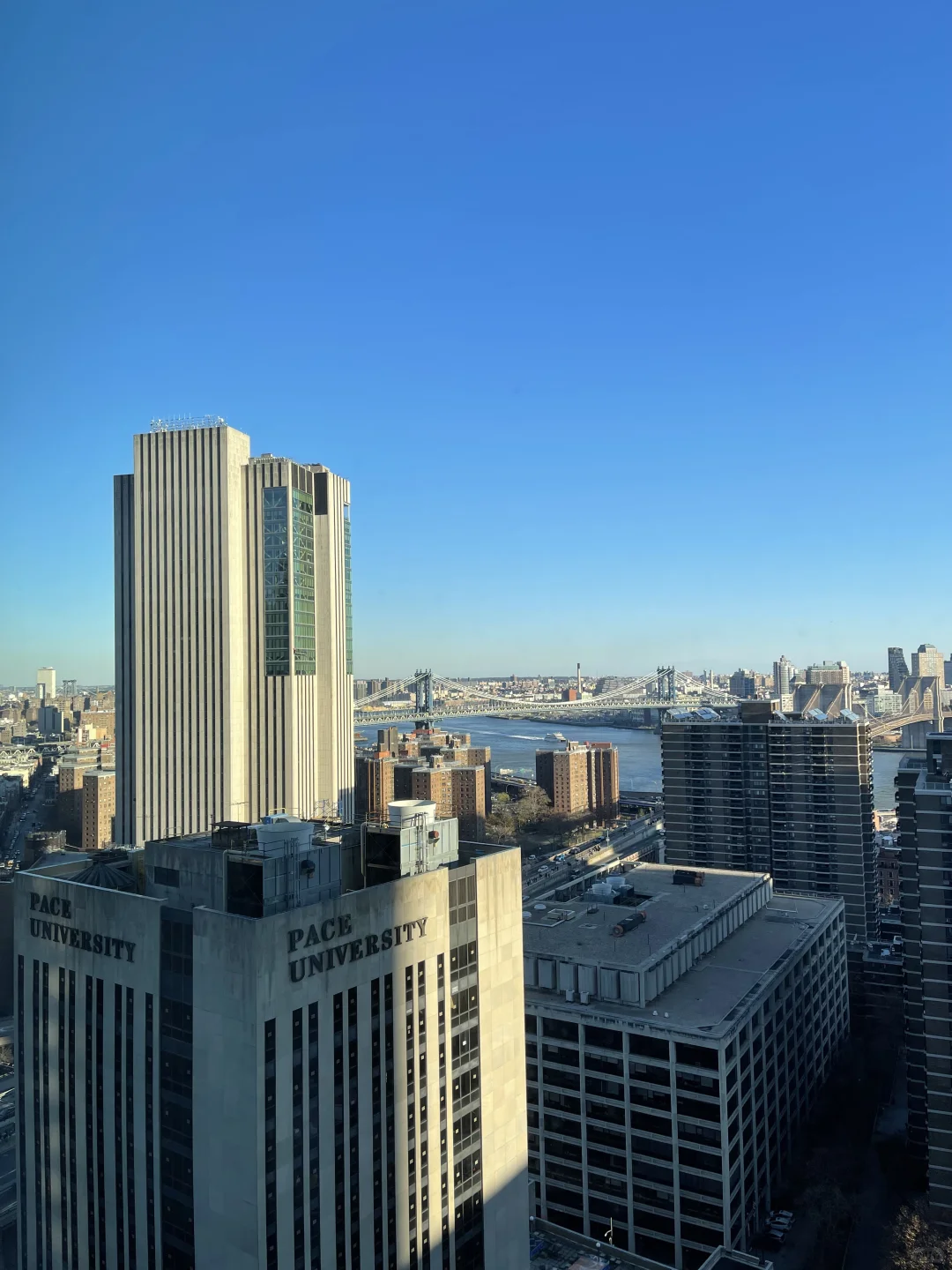 Daily Plog💗 Afternoon stroll in the financial district