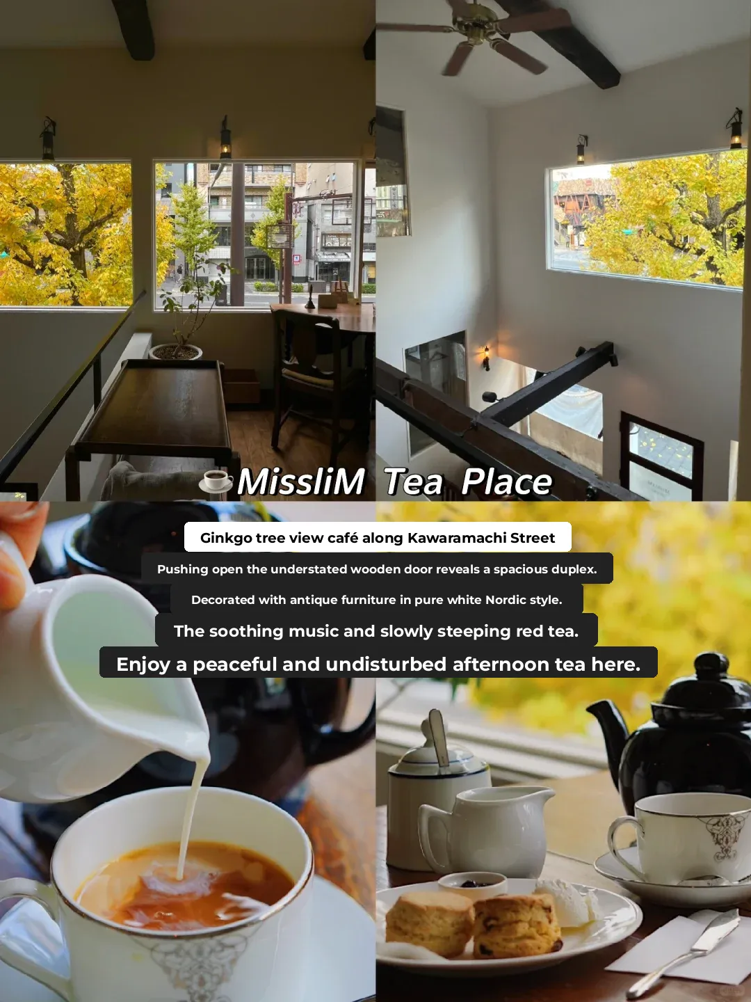 🇯🇵 Kyoto! My Favorite Off-the-Beaten-Path Cafés to Escape the Crowds ☕️