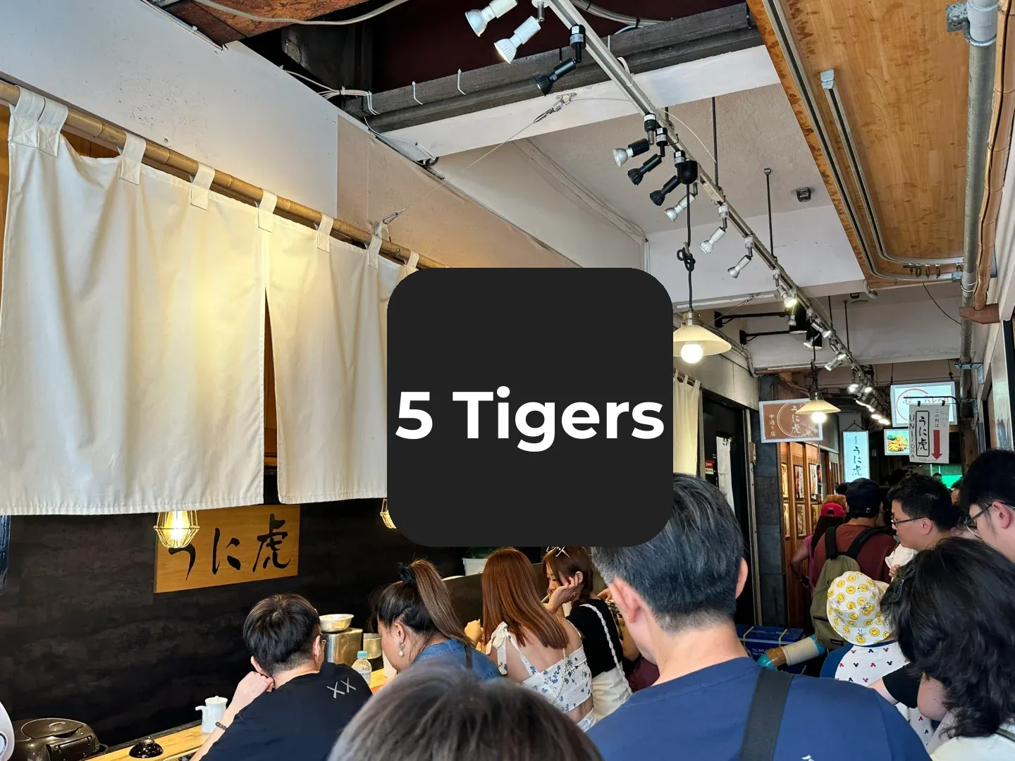 Tsukiji Market Uni Don Guide (No-Wait Edition)