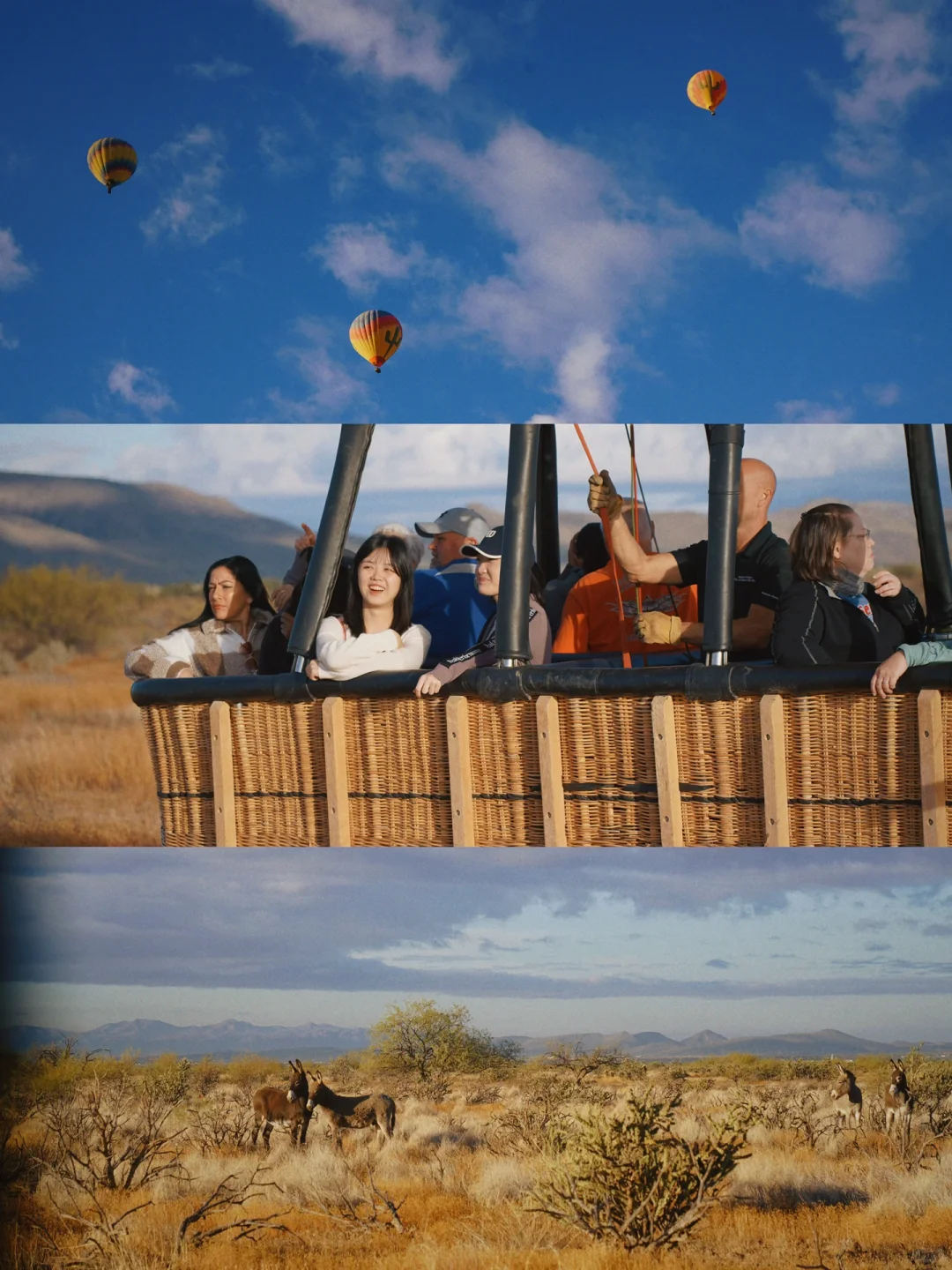 Thanksgiving in Phoenix & Sedona: Must-Do Classics! (1/3)