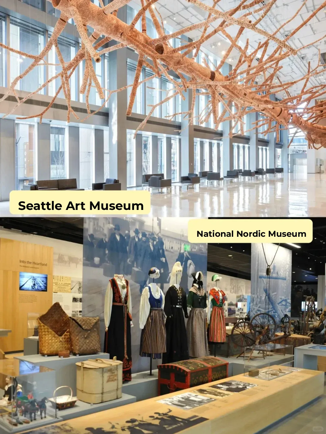 Totally Free! Cultivate Your Mind Without Spending a Dime!