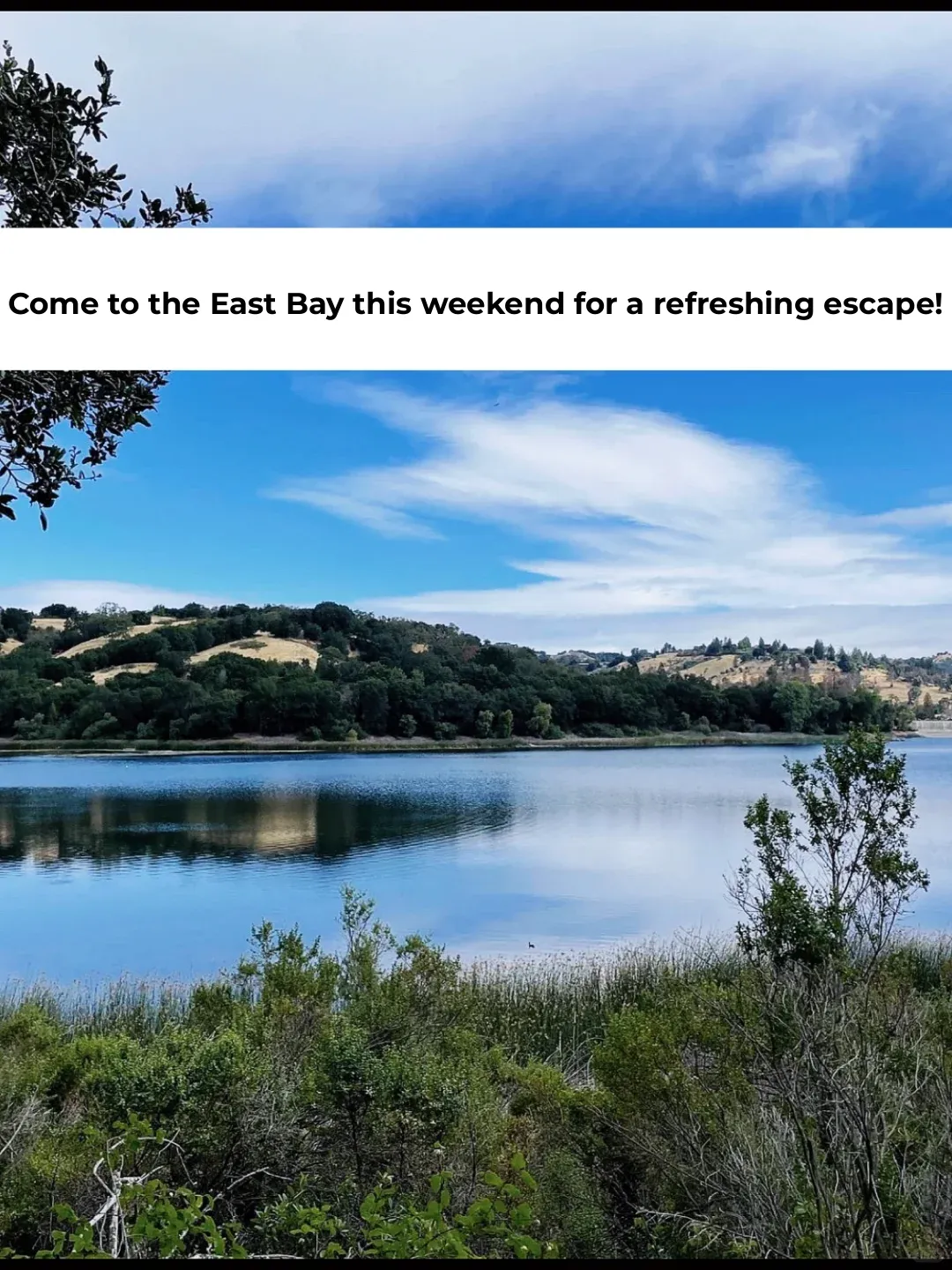 Weekend Getaway to the East Bay for Some Eye-Cleansing 🌈 Lafayette's Man-Made Lake 🔥