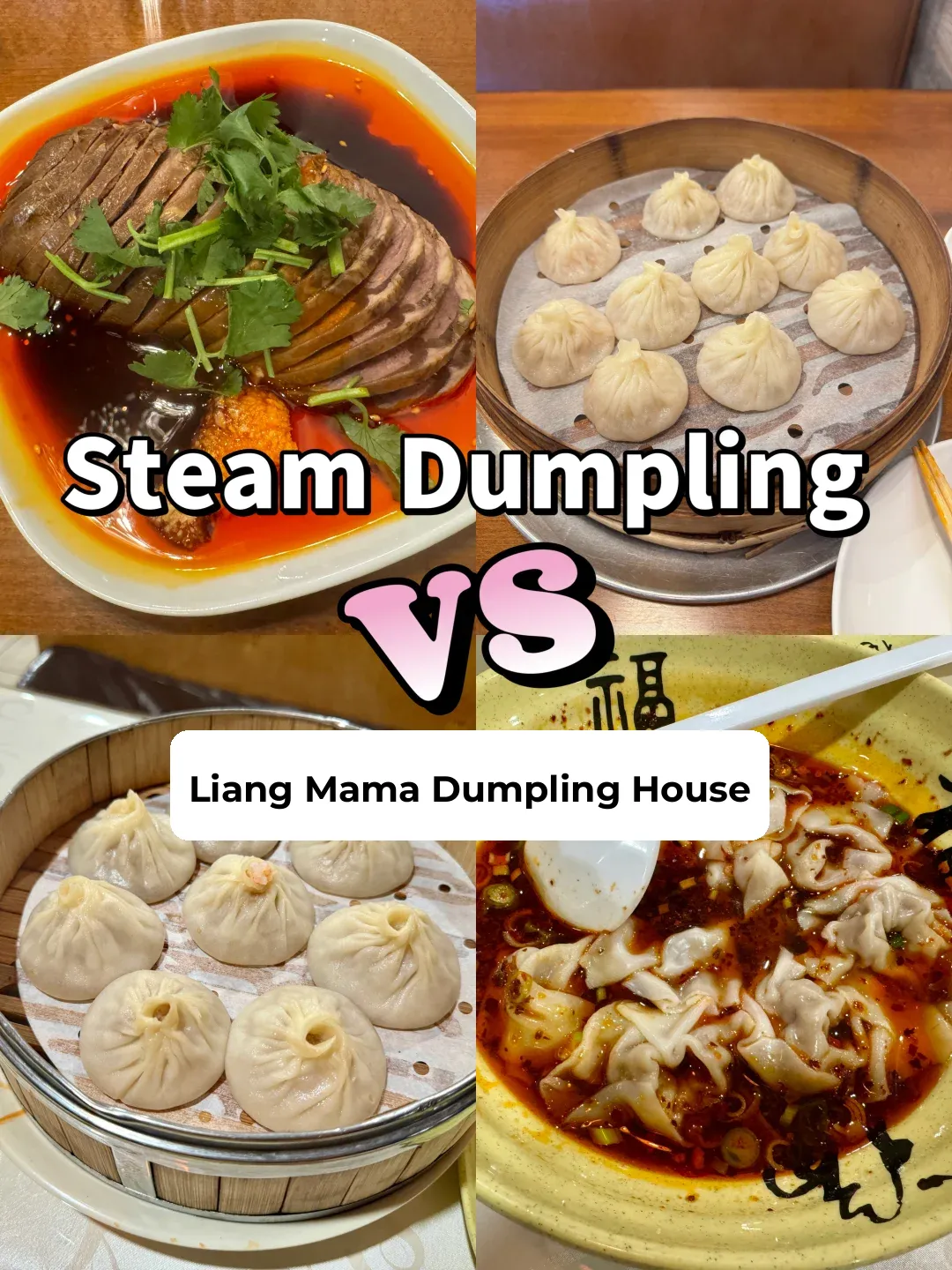 Houston Katy Showdown: Taste Test of Two Popular Noodle and Dumpling Restaurants