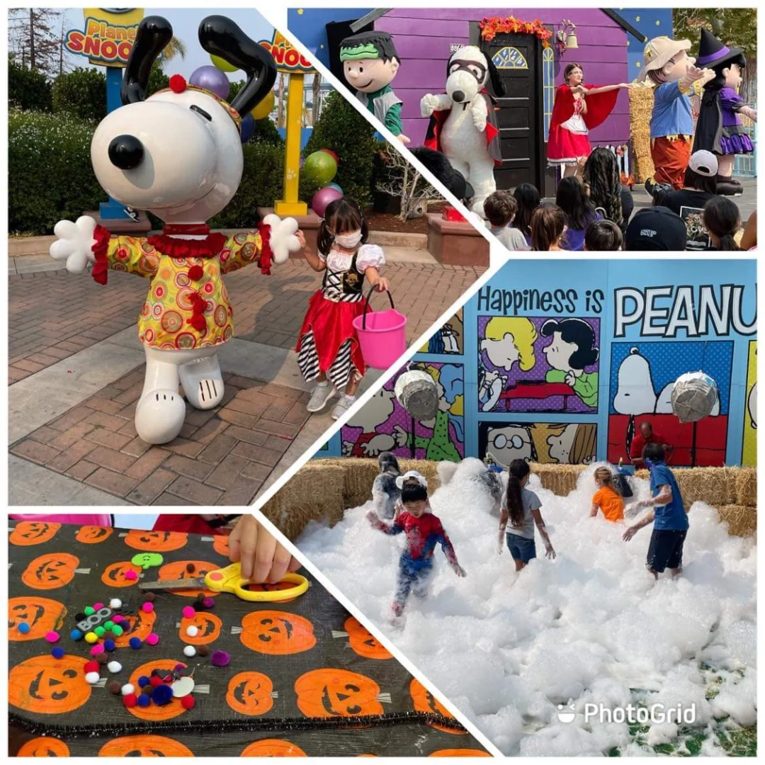 Bay Area Pumpkin Festival | Candy, Bubbles, Music, and All the Fun Stuff