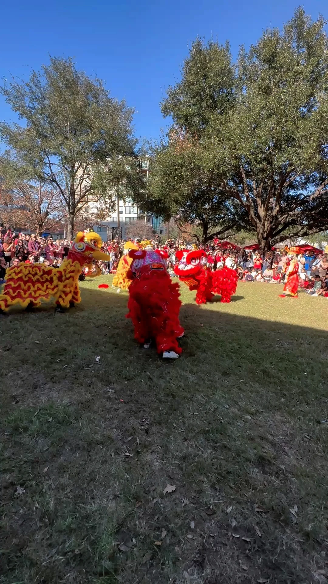 Houston Chinese New Year Celebration 👍 Lion Dance, Spring Couplets, and Traditional Chinese Performances
