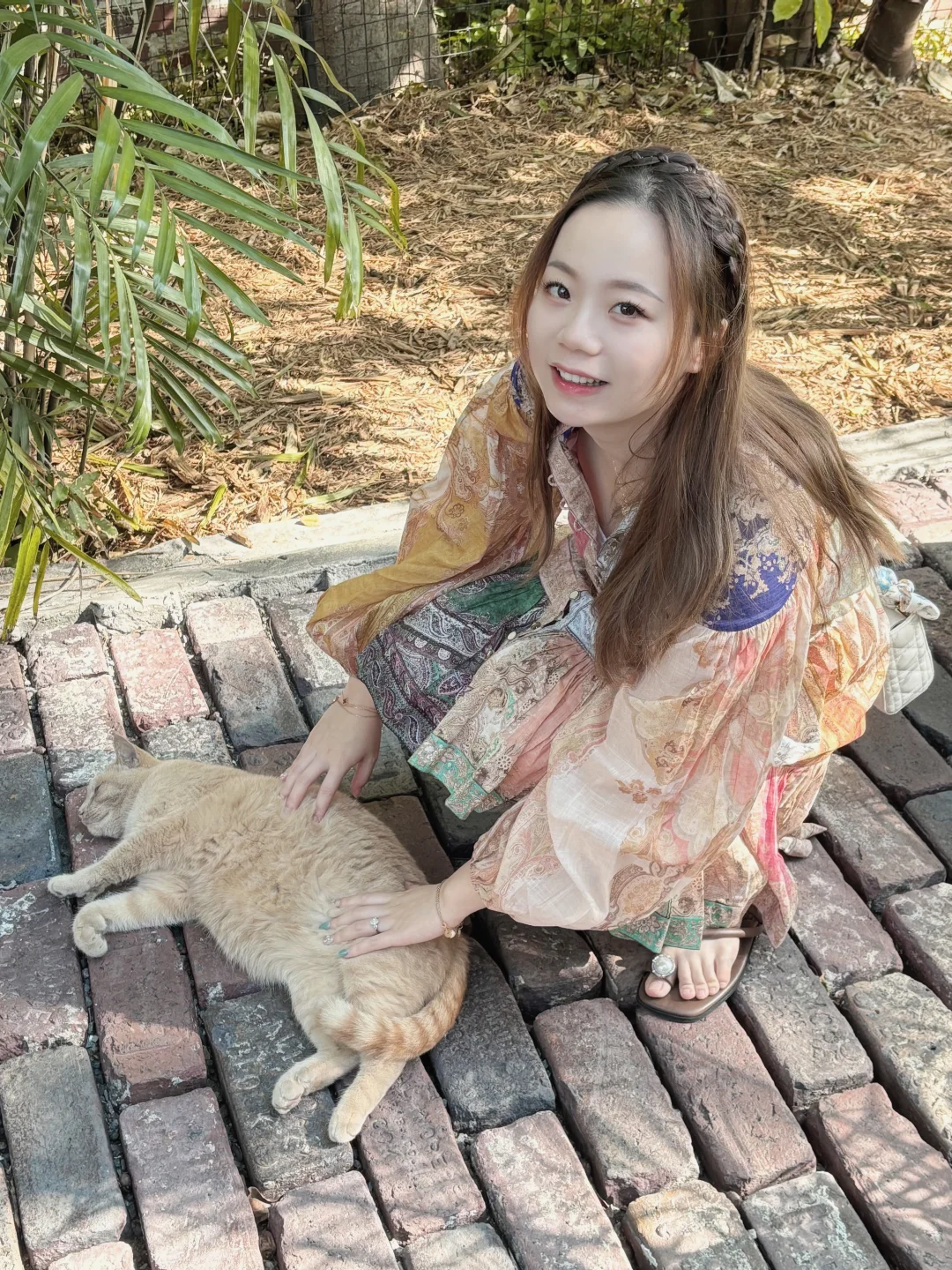 Key West: The Severely Underrated Island Paradise 🏝️ – Complete Guide to Eating, Playing, and Staying