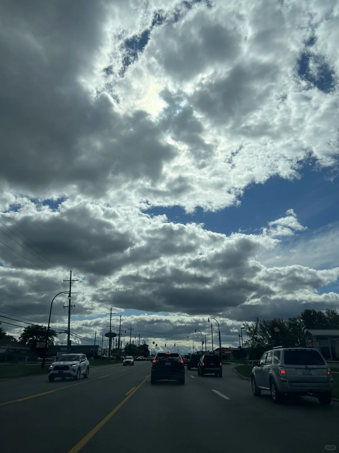 Looking for Recommendations for Great Chinese-Owned Shops