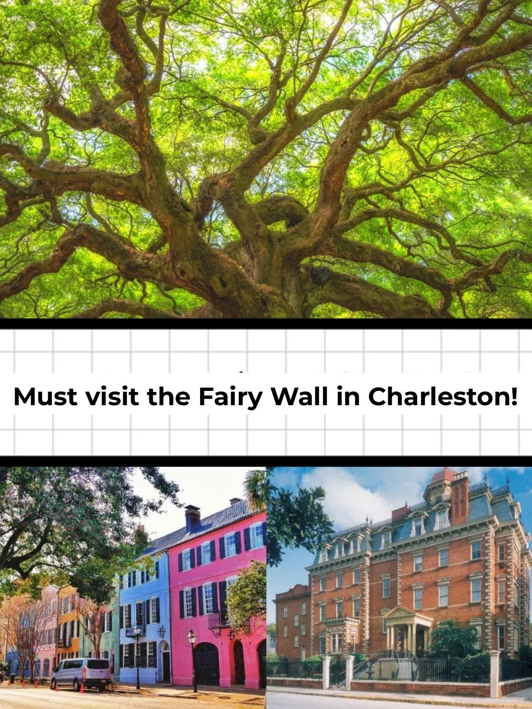 Must-Visit Fairy-Tale Wall in Charleston🌸 Stunning Photo Spot!