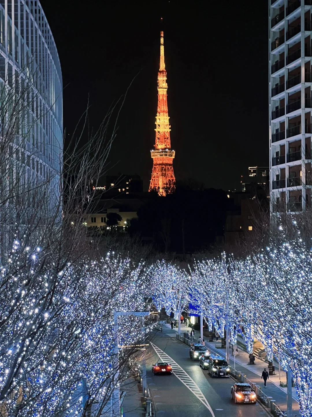 Tokyo Travel 🗼 These Spots Are All You Need! ‼