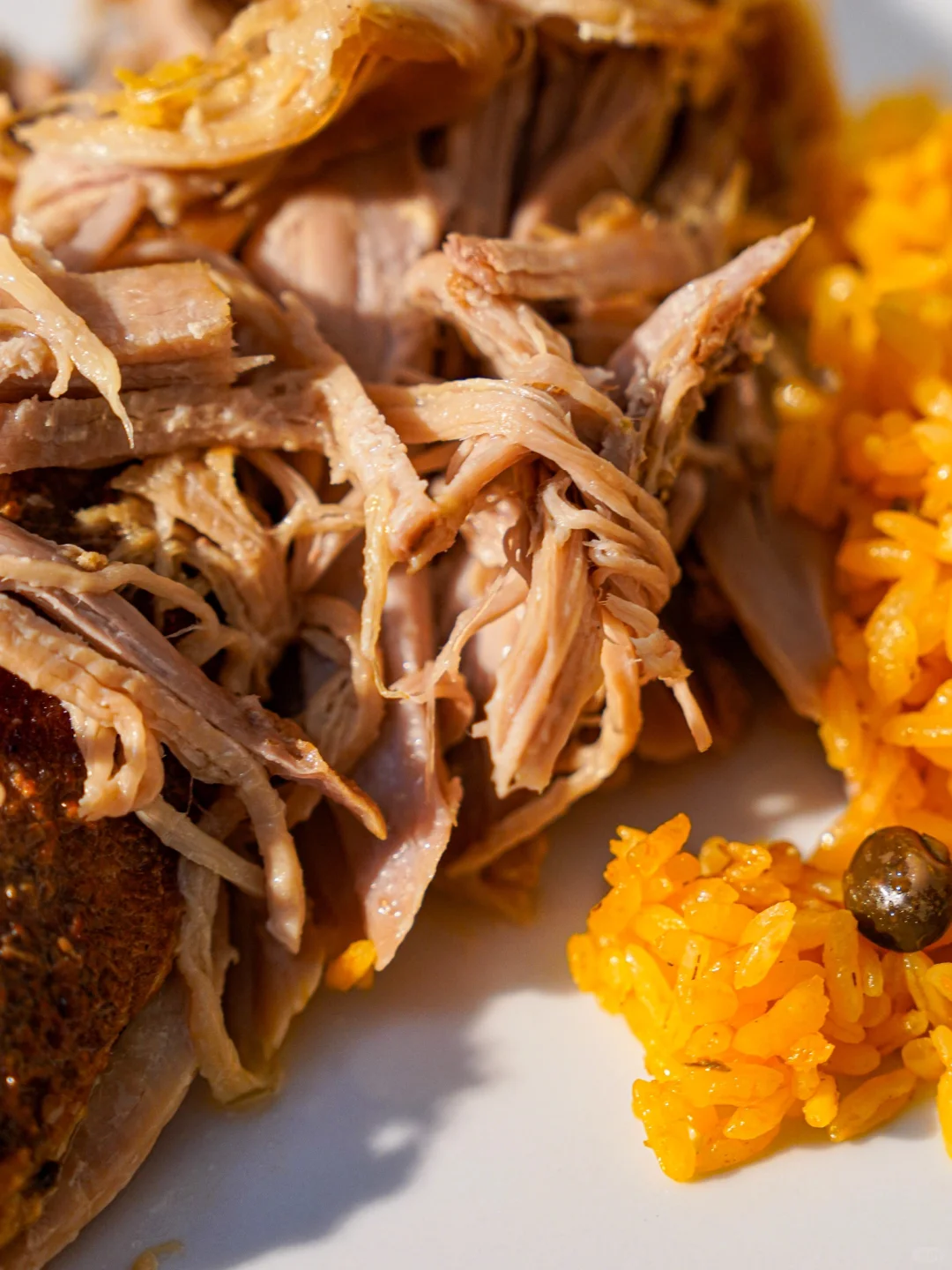 Chicago Food | Can't-Stop-Eating Puerto Rican Roast Suckling Pig