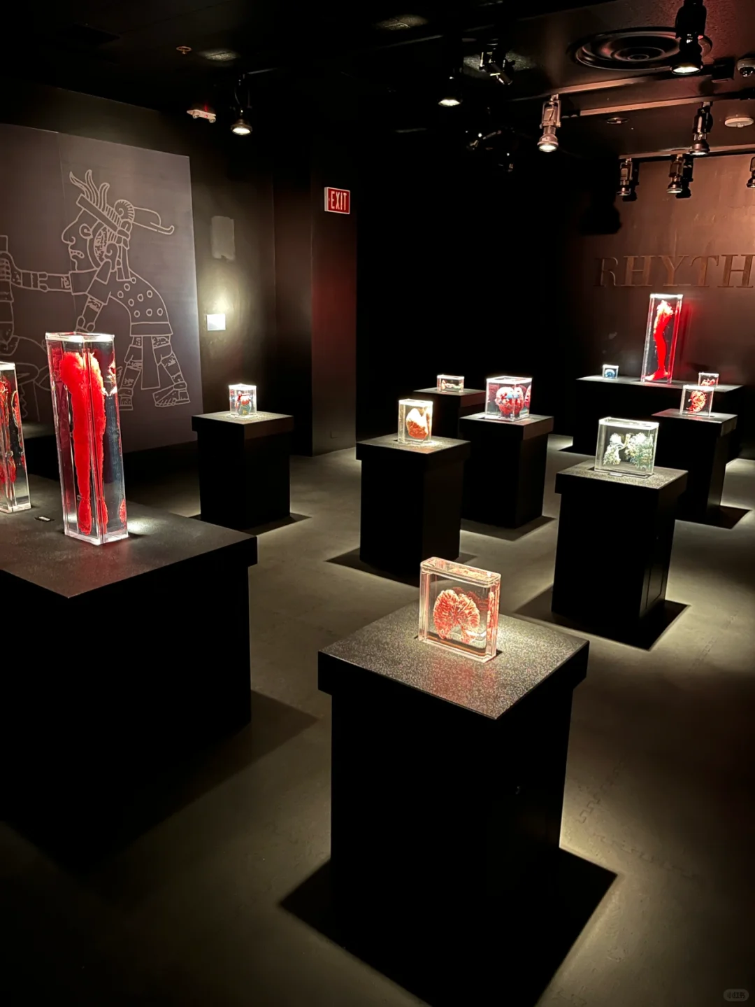 Check-in at the Las Vegas Museum of the Human Body