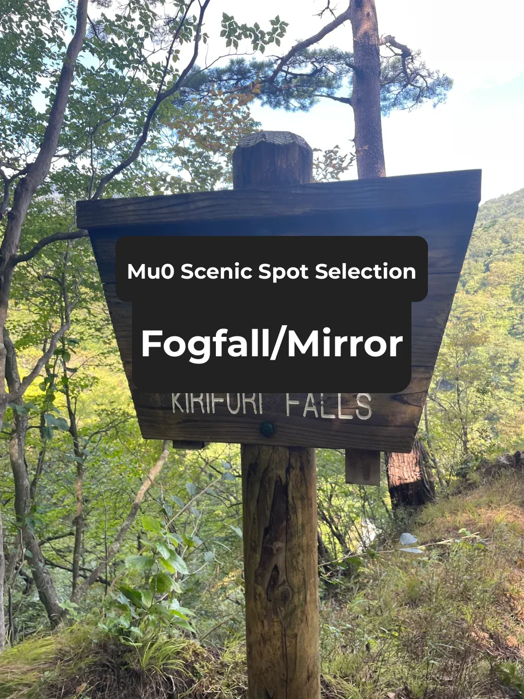 Tokyo Day Trip | Nikko, Tochigi - Budget-Friendly One-Day Adventure