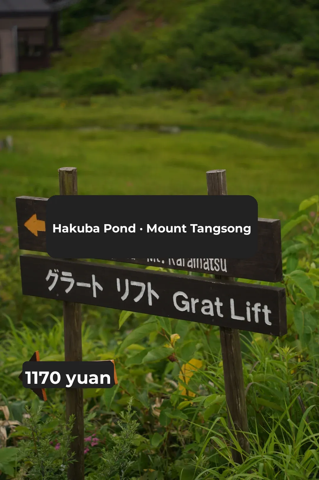 Discovered a New Way to Beat the Heat in Tokyo – Hiking!