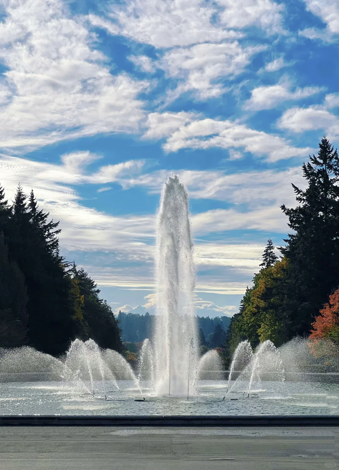 🇺🇸 Seattle 3-Day 2-Night Leisure Travel Guide (Part 2)