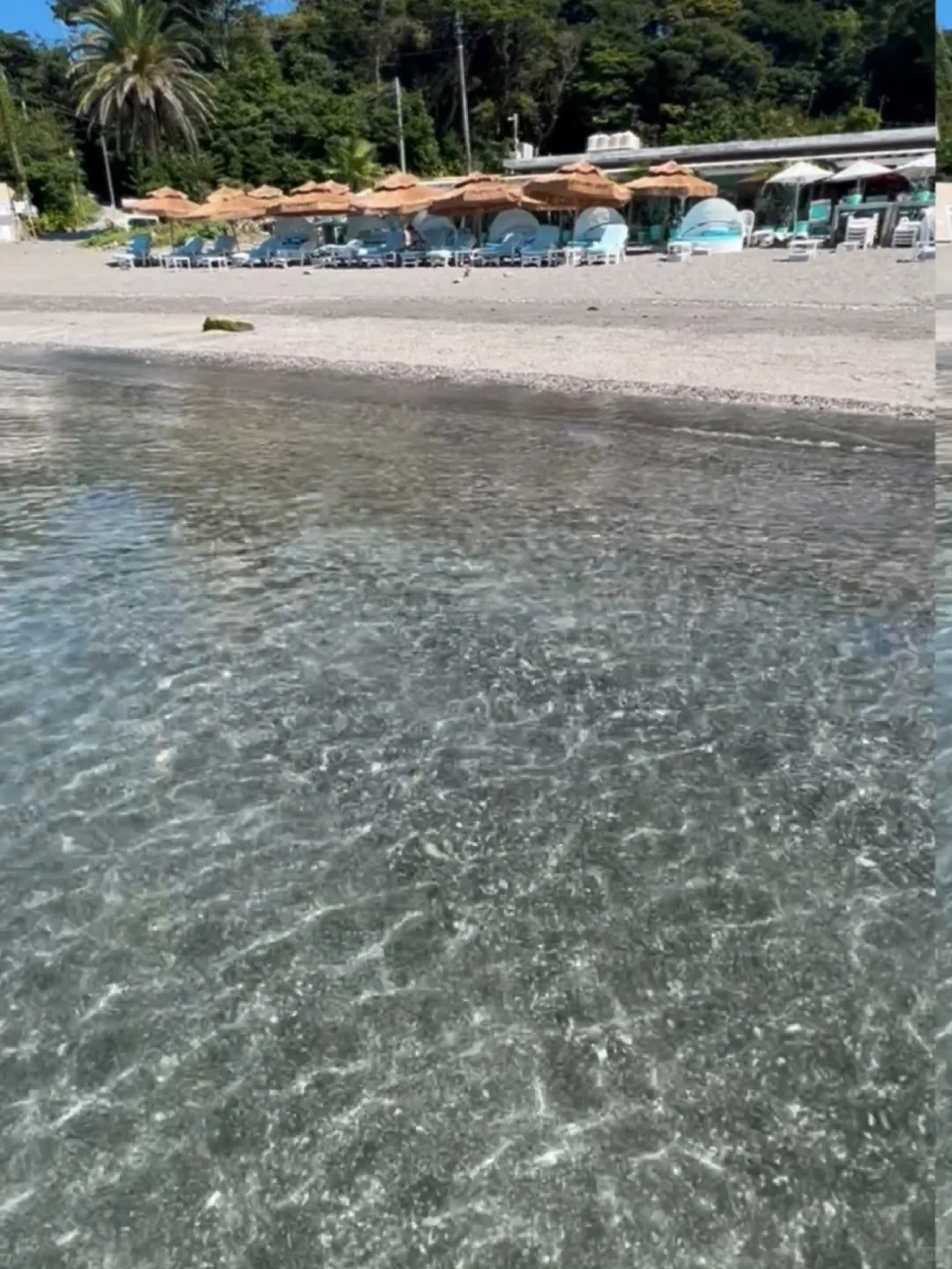 Hawaii is just a 1-hour drive from Tokyo! 🌴